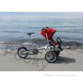 Security Alluminum Tricycle Stroller Bike with Three Wheels